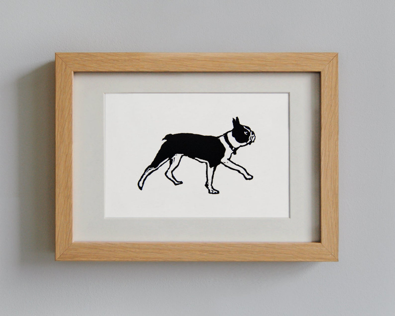 Boston terrier walking linocut print framed