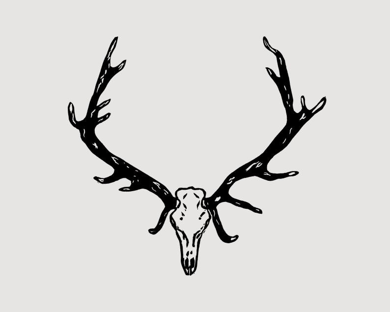 Deer antlers linocut print unframed