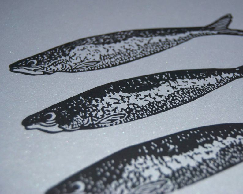 Shimmering sardines linocut print close up