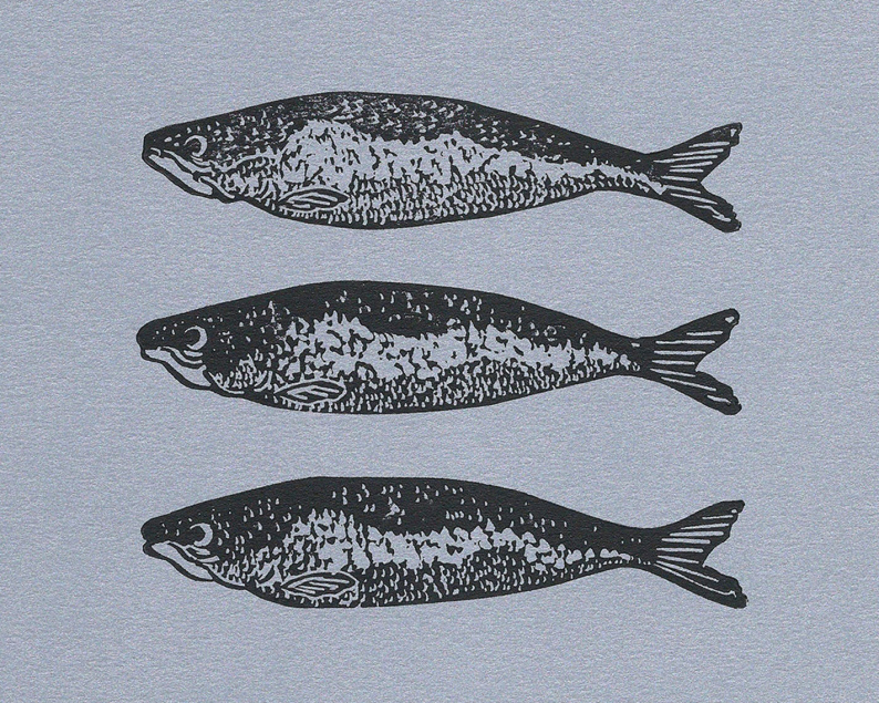 Shimmering sardines linocut print unframed