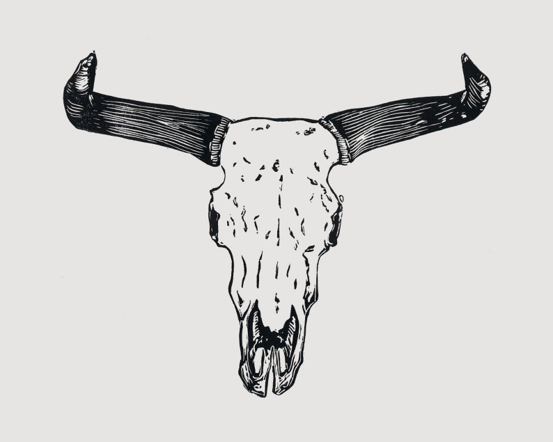Steer skull linocut unframed