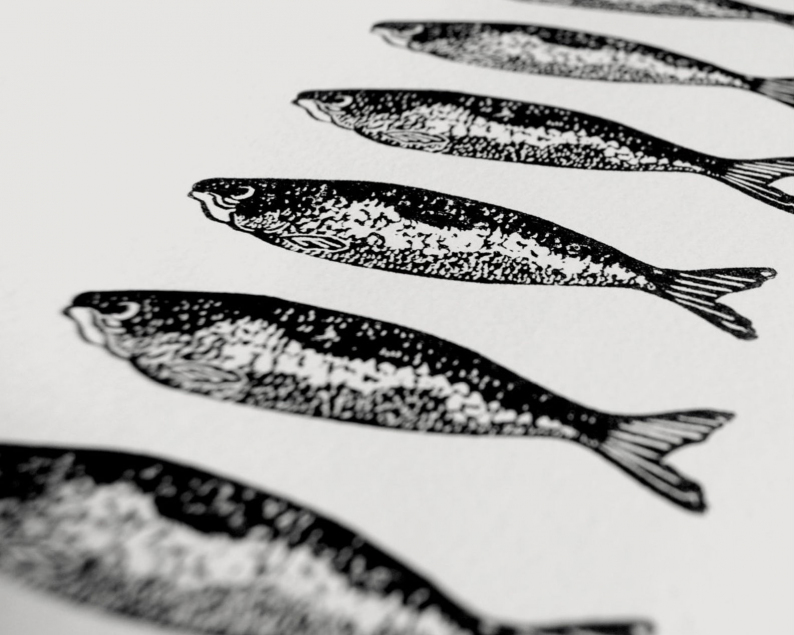 Twelve sardines screenprint close up1