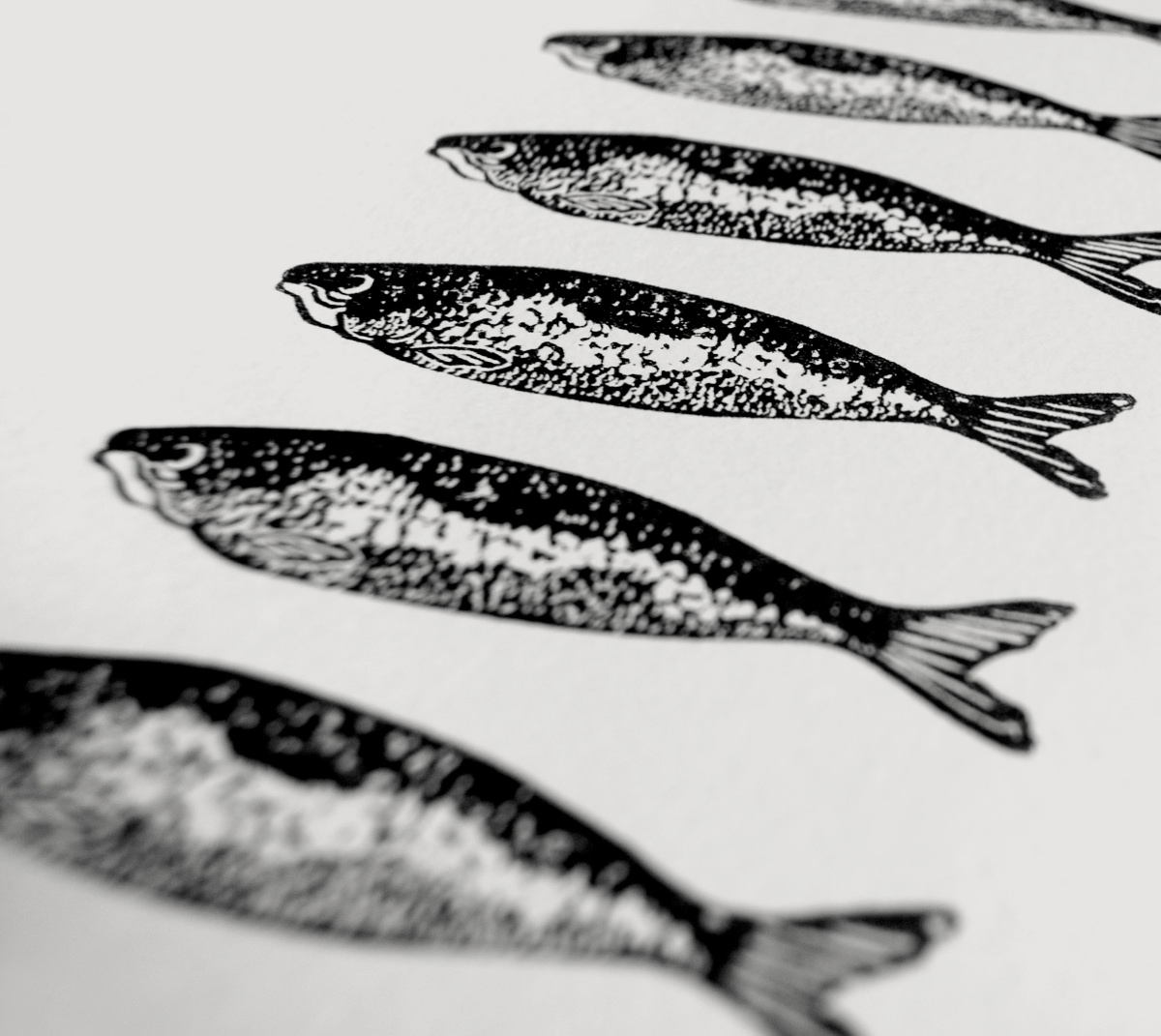 Twelve Sardines art print